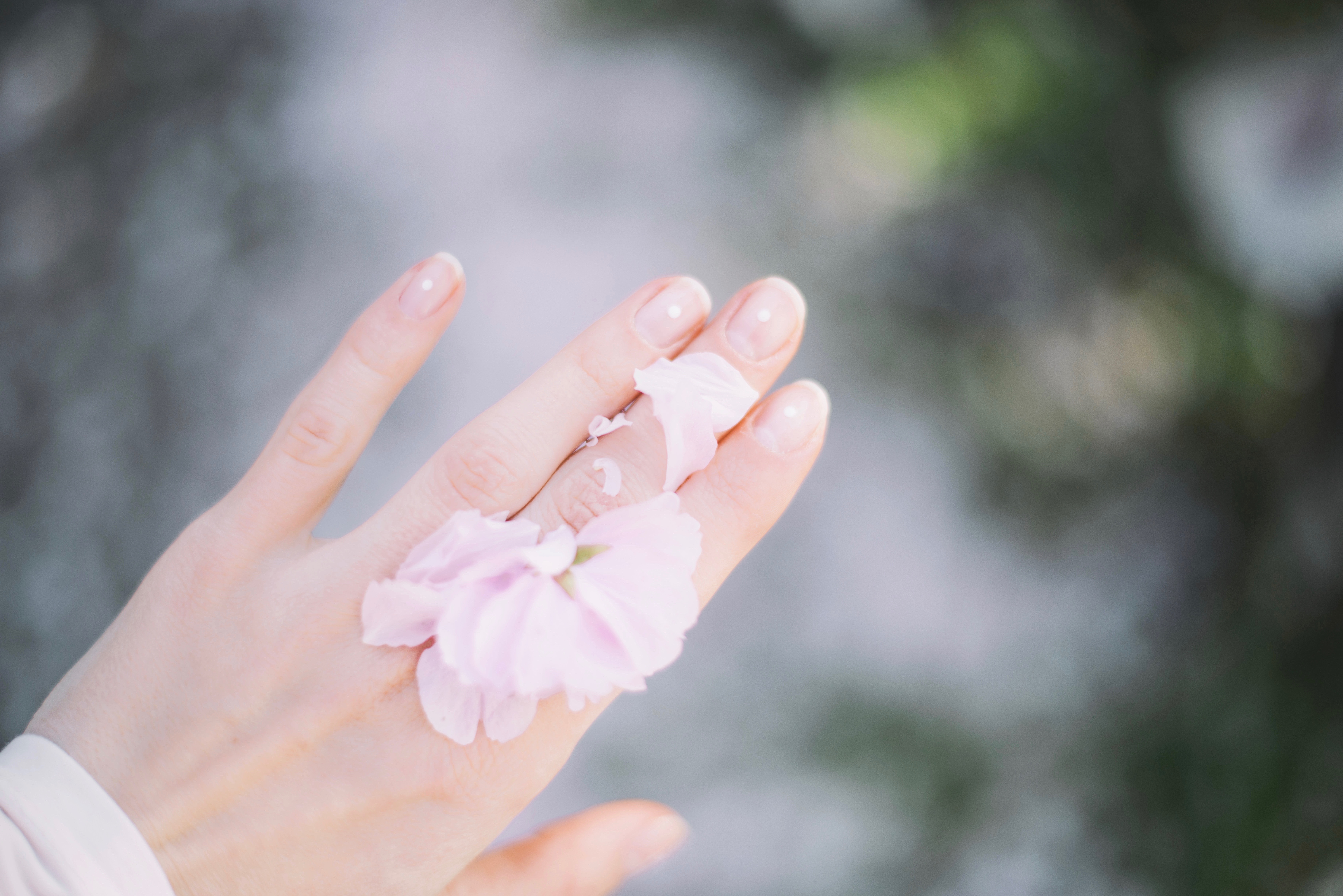 roman-kraft-105792-unsplash